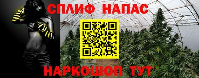 jwh Новозыбков
