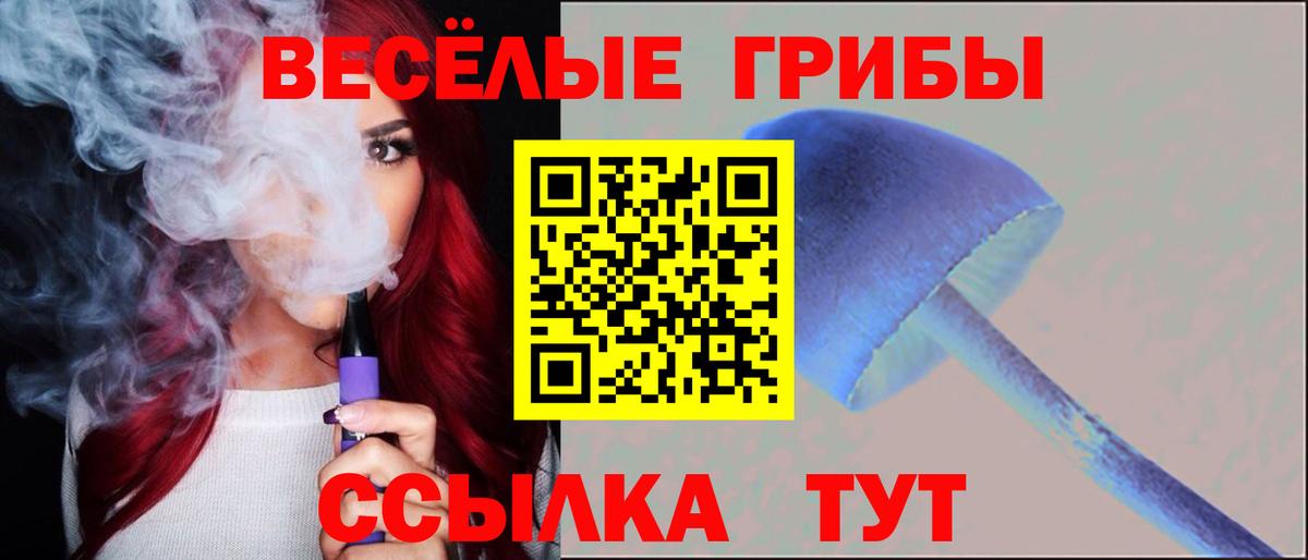 Реутов  Галлюциногенные грибы Magic Shrooms  Вход с VPN 