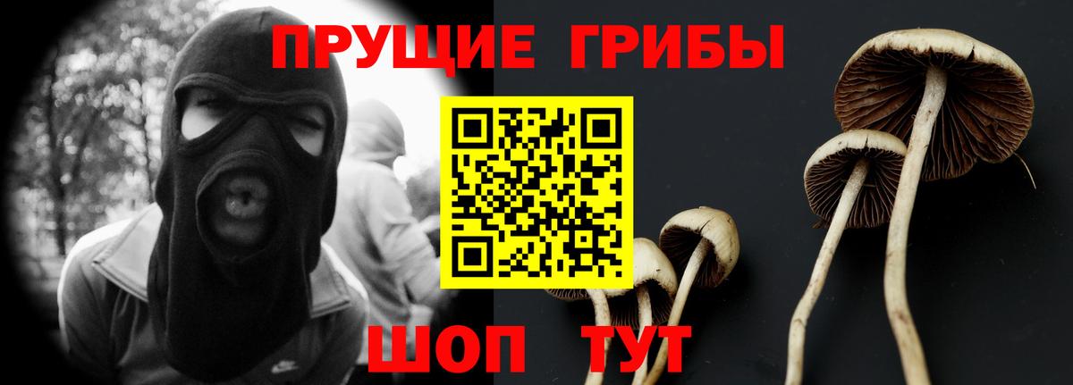 Галлюциногенные грибы Magic Shrooms Реутов